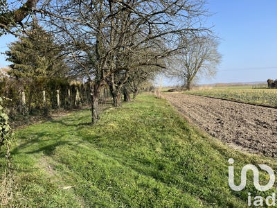 /international/fr/la-rothiere-ardennes-310108046917/