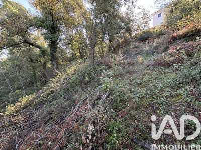 /international/fr/flassans-sur-issole-provence-alpes-cote-d-azur-310107558501/