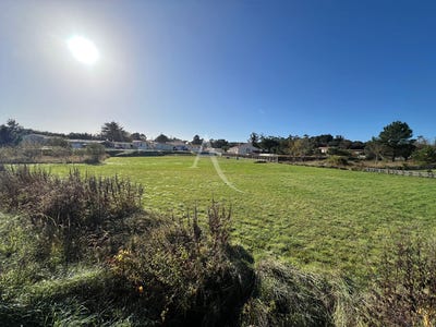 /international/fr/longeville-sur-mer-pays-de-la-loire-310104472177/