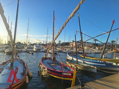/international/fr/saint-cyprien-languedoc-roussillon-310107743941/