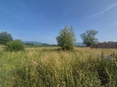 /international/fr/aspach-michelbach-alsace-310101381904/?lang=zh-tw