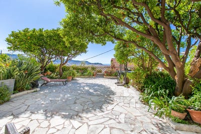 /international/fr/nice-provence-alpes-cote-d-azur-310108466052/
