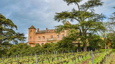 /international/fr/lisle-sur-tarn-midi-pyrenees-310108105509/