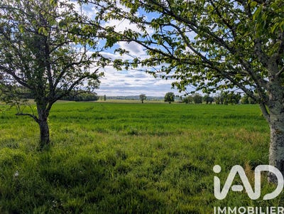 /international/fr/saint-sauveur-de-puynormand-aquitaine-310108776094/