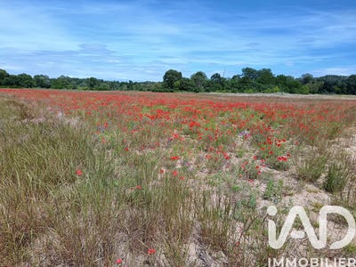 /international/fr/saint-julien-de-peyrolas-languedoc-roussillon-310108182932/