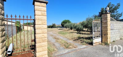 /international/fr/peyriac-minervois-languedoc-roussillon-310108182719/