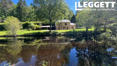 /international/fr/nedde-limousin-310108401218/