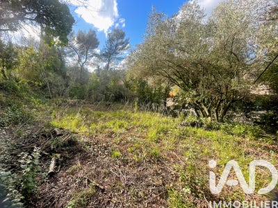 /international/fr/nimes-languedoc-roussillon-310105376824/