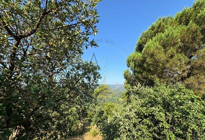 /international/fr/grimaud-provence-alpes-cote-d-azur-310106999227/