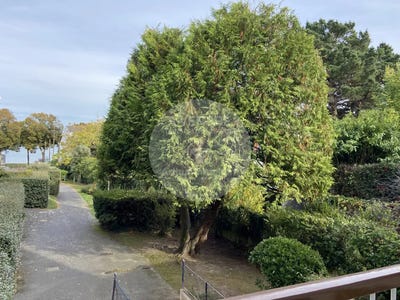 /international/fr/saint-nazaire-languedoc-roussillon-310102677864/