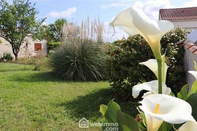 /international/fr/saint-vincent-sur-jard-pays-de-la-loire-310099627973/