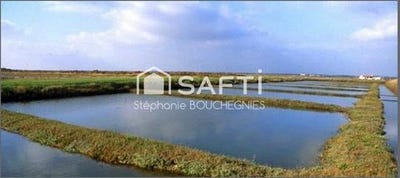 /international/fr/marennes-charente-310107472808/