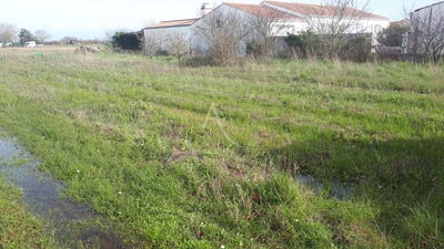/international/fr/barbatre-pays-de-la-loire-310104462652/