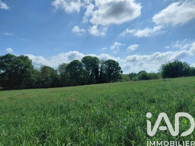 /international/fr/royeres-limousin-310104227321/