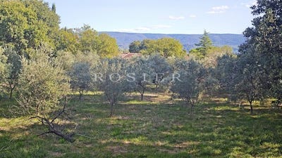 /international/fr/gordes-provence-alpes-cote-d-azur-310102371212/
