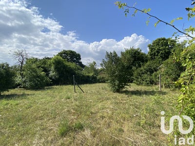 /international/fr/montigny-sur-loing-ile-de-france-310100783142/