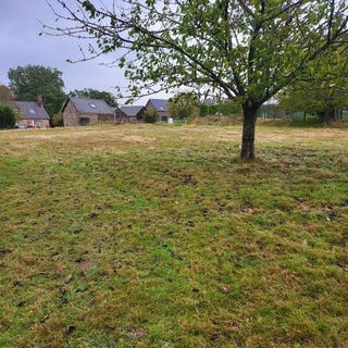 /international/fr/mayenne-pays-de-la-loire-120096365558/