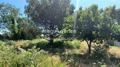 /international/fr/plaisance-du-touch-midi-pyrenees-310108761985/