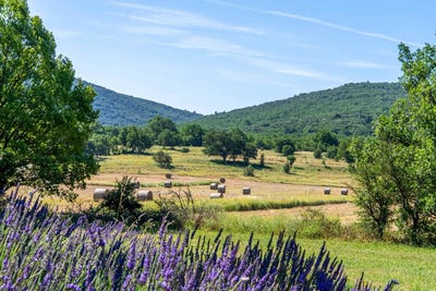 /international/fr/aix-en-provence-hh-15472791-aix-en-provence-provence-alpes-cote-d-azur-310100959142/?lang=fr