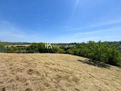 /international/fr/auzielle-midi-pyrenees-310110053150/