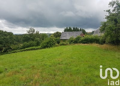 /international/fr/beaumont-ile-de-france-310106424143/