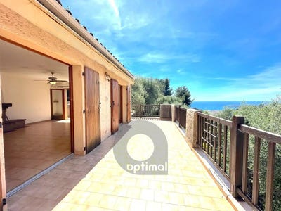 /international/fr/castellar-corsica-310108623993/