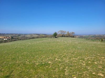/international/fr/pebees-midi-pyrenees-310106597602/