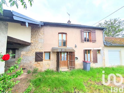 /international/fr/gevigney-et-mercey-franche-comte-310099706262/