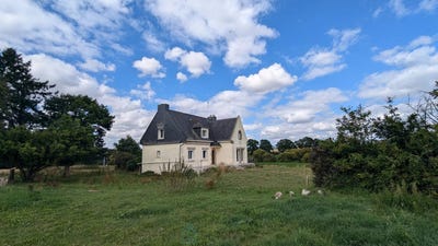 /international/fr/remungol-brittany-310102992100/