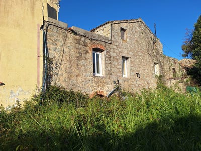 /international/fr/eccica-suarella-corsica-310106289610/
