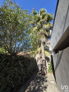 /international/fr/frejus-provence-alpes-cote-d-azur-310099550197/