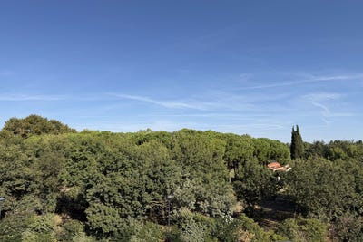 /international/fr/saint-cyprien-languedoc-roussillon-310110072670/