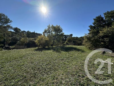 /international/fr/mougins-provence-alpes-cote-d-azur-310103468209/