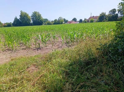/international/fr/gurs-aquitaine-310100792208/