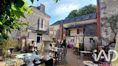 /international/fr/pleumartin-charente-310106513248/