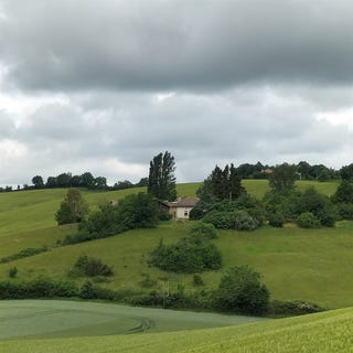 /international/fr/simorre-midi-pyrenees-310106628734/