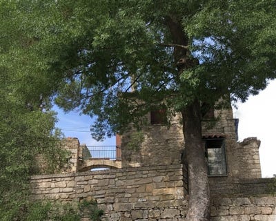 /international/fr/lodeve-languedoc-roussillon-310107641411/