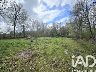 /international/fr/le-theil-en-auge-upper-normandy-310106966310/