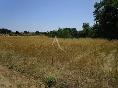 /international/fr/thesee-centre-val-de-loire-310104462320/