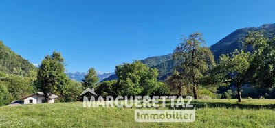 /international/fr/saint-jeoire-rhone-310101018089/