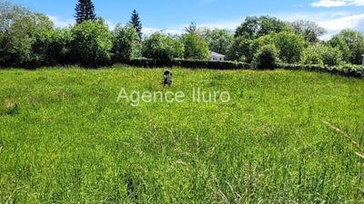 /international/fr/oloron-sainte-marie-aquitaine-310101568593/