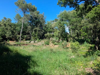 /international/fr/sillans-la-cascade-provence-alpes-cote-d-azur-310109731785/