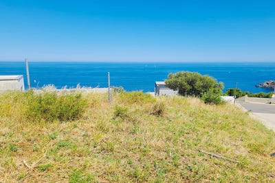 /international/fr/cerberus-languedoc-roussillon-310109113244/