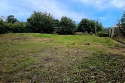/international/fr/pouille-les-coteaux-pays-de-la-loire-310100492232/