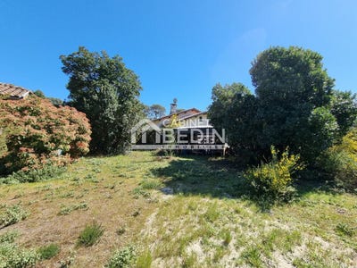 /international/fr/biscarrosse-plage-aquitaine-310098416759/