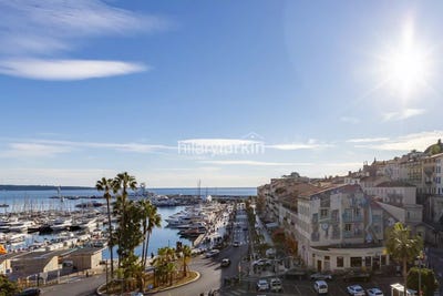 /international/fr/cannes-provence-alpes-cote-d-azur-310108996982/