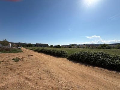 /international/fr/saint-julien-les-rosiers-languedoc-roussillon-310108405197/