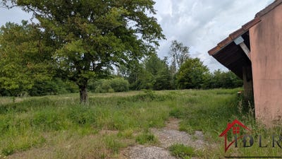 /international/fr/mouthier-en-bresse-burgundy-310108600948/