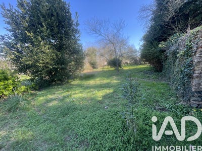 /international/fr/le-grand-luce-pays-de-la-loire-310106573401/
