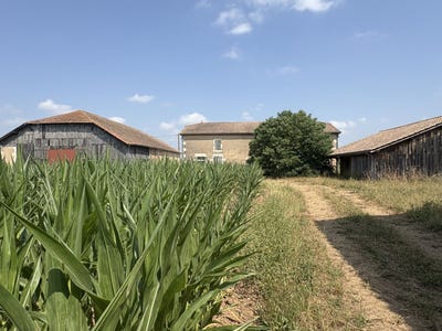/international/fr/lafitte-sur-lot-aquitaine-310110003664/